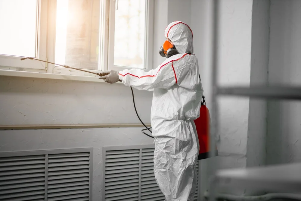 Professional mold remediation services in Kill Devil Hills, NC